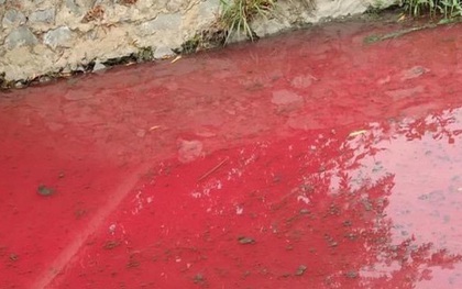 Bình Dương xác định nguyên nhân ban đầu khiến con suối nhuốm màu đỏ như máu
