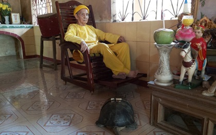 "Kỳ lạ" cụ rùa hơn trăm tuổi ở miền Tây biết... nghe kinh, ăn chay và giữ cửa