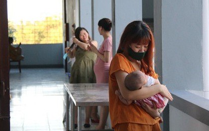Quảng Nam tiếp tục tiếp nhận 99 bà bầu về từ Nhật Bản