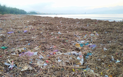 Chùm ảnh: 3.000 tấn rác dạt vào bãi biển Đà Nẵng sau bão số 13