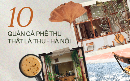 10 quán cà phê "ẩn mình" giữa lòng Hà Nội, cực hợp "mood" mùa thu để hàn huyên tám chuyện và chụp ảnh "sống ảo"