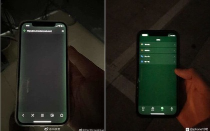Góc cảnh báo: Apple từ chối bảo hành màn hình iPhone 12 bị ám xanh lá cây