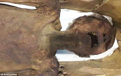 Tìm thấy "xác ướp la hét" kỳ lạ, các nhà khoa học phát hiện âm mưu đáng sợ trong gia đình Hoàng gia nổi tiếng nhất thế giới từ 3.000 năm trước