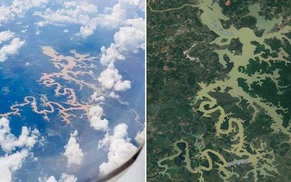 Dân mạng thi nhau tìm kiếm dòng sông ở Việt Nam nhìn như chú rồng khổng lồ trên Google Maps