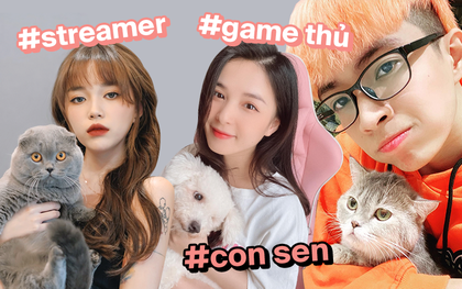 Game thủ, streamer giờ toàn là "người chơi hệ thú cưng": Đàm Tổng mở hẳn cà phê mèo, cả team Saigon Phantom ai nấy đều rất cưng chiều "hoàng thượng"