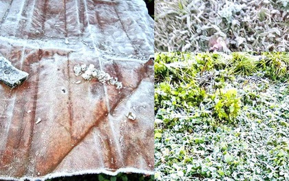Lớp băng phủ trắng mái nhà, cây cỏ ở vùng núi Nghệ An
