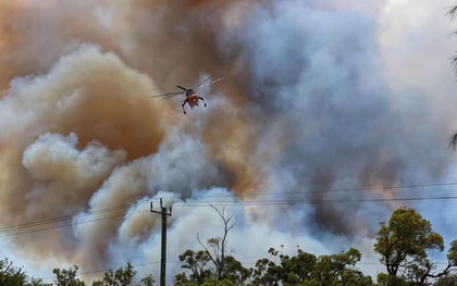 Cháy rừng vượt kiểm soát, Australia ban bố cảnh báo khẩn cấp tại Perth