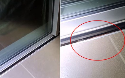 Gia đình suýt mất mạng bởi một chi tiết trong khe hở của cánh cửa, may mắn nhờ mèo cưng phát hiện ra "Tử thần"