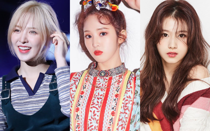 Tân binh là em họ Yuri (SNSD) sở hữu ngoại hình giống cả Kpop: Từ Sana (TWICE), đến Irene, Wendy (Red Velvet) đủ hết