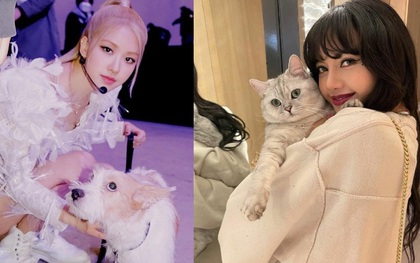 Rosé và Lisa khác nhau "một trời một vực" khi đặt tên Instagram cho thú cưng, hoá ra Hank từng có 7749 cái tên trước đây?