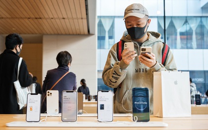 Giữa lùm xùm một người dùng kiện Apple vì bị từ chối bảo hành iPhone mua ở Việt Nam, bạn phải cẩn trọng điều gì?