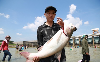 Thủy điện Trị An ngưng xả lũ, dân phấn khởi đi "hôi" lộc trời