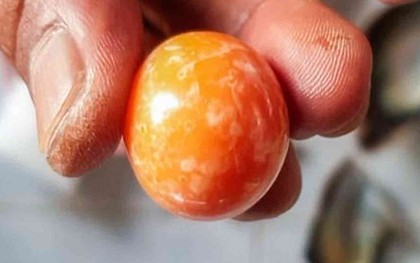 Nhặt được "quà" biển, ngư dân định trang trí lồng chim thì biết thứ bên trong giá 7 tỷ