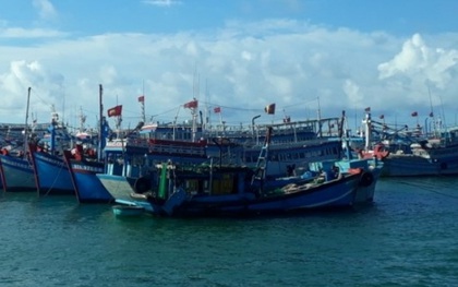 Tạm dừng hoạt động các tàu khách tuyến Phan Thiết - Phú Quý
