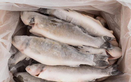 5 loại cá "bẩn nhất chợ", chẳng những không ngon mà còn gây bệnh