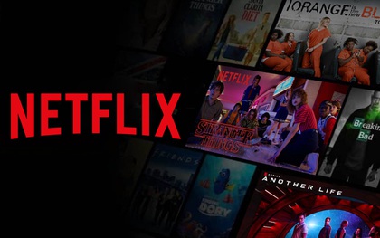 Giữa nghi vấn Netflix đã nhanh trí mua lại tên miền phimmoi.net, thực hư thế nào?