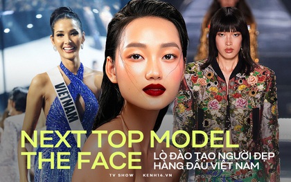Next Top Model và The Face xứng danh "lò đào tạo" người đẹp hàng đầu Việt Nam!
