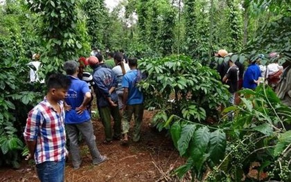 Vụ Chánh án TAND huyện tử vong: "Tôi đau hơn bị xát muối khi cấp trên chọn cái chết"
