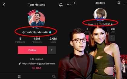 Tài khoản TikTok có tick xanh của Tom Holland và Zendaya bị chính chủ "bóc" là hàng fake, chuyện gì đây?