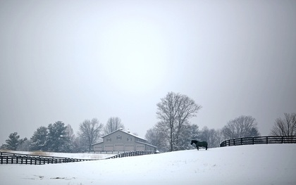 Gần 50 người tử vong do bão tuyết nghiêm trọng tại Mỹ