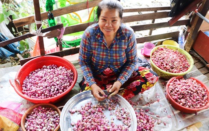 Có một "xóm cay mắt" của người miền Tây giữa lòng Sài Gòn: "Tụi tui tính về quê mà không đủ tiền, Tết này ở đây thôi"