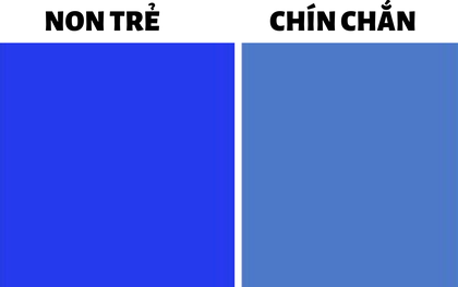 Quiz: Kiểm tra "số tuổi của tâm hồn" để biết mình đã chín chắn, trải đời ra sao qua bài test màu sắc siêu thú vị