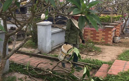 Hải Phòng: Hơn 100 ngôi mộ bị đập phá bát hương, lọ hoa