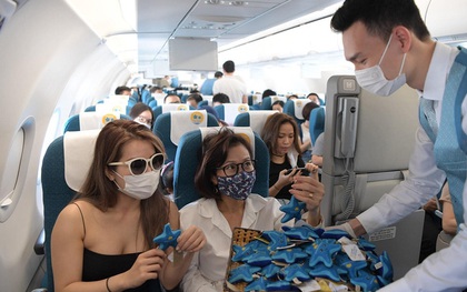 Vietnam Airlines tung hàng loạt chú sao biển bằng bông trên các chuyến bay khiến dân mạng siêu thích thú, và đằng sau còn ẩn chứa một ý nghĩa đặc biệt