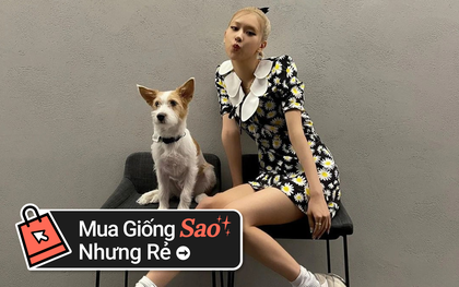 Mê váy hoa cúc hàng hiệu của Rosé thì đây là những mẫu na ná siêu rẻ chỉ từ 65k cho bạn