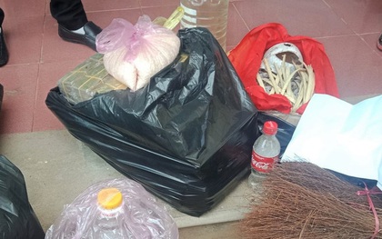 Mang sọ dừa hình thù kỳ lạ tới nghĩa trang chôn làm mộ giả