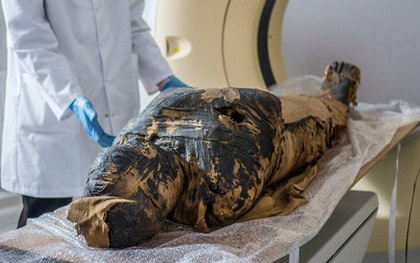 Phát hiện xác ướp Ai Cập mang thai đầu tiên trên thế giới