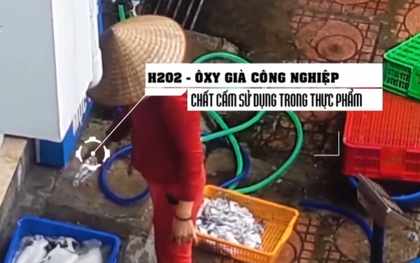 Cơ sở tẩy trắng mực bằng hóa chất: Giám đốc khai "nhân viên tự xin oxy già để tẩy"