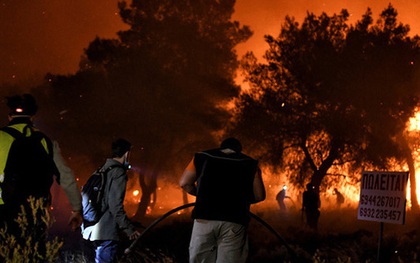 Cháy rừng nghiêm trọng tại Hy Lạp, di tản 17 ngôi làng
