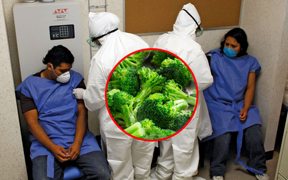 Những người ăn cần tây và bông cải xanh mà cảm thấy đắng thì có ít nguy cơ mắc Covid-19 hơn