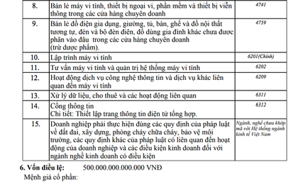 Vụ đăng ký góp hơn 500.000 tỉ đồng mở công ty: Giám sát việc góp vốn