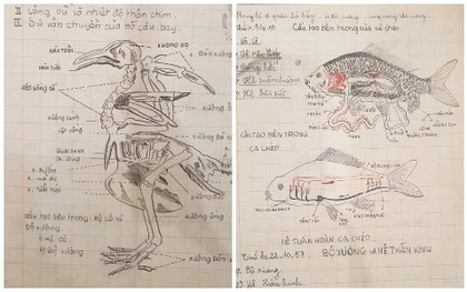 Cuốn vở Sinh học cách đây 64 năm: Ghi chép siêu nghệ thuật, hình vẽ đẹp mê hồn khiến học trò trỗi dậy động lực học hành!