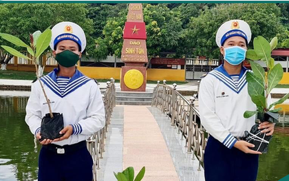 Phiên "chợ tình" đặc biệt: Có cái cây vượt 300 hải lý, có hộp nhạc Tổng thống Mỹ say mê... đổi lấy máy thở cho bệnh nhân Covid-19