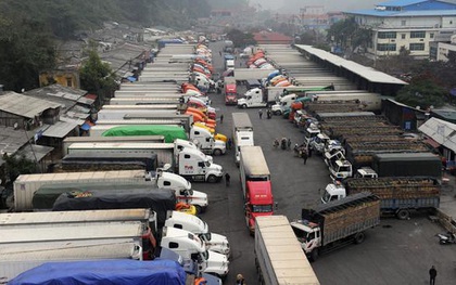 Trung Quốc tạm dừng thông quan tại cửa khẩu Tân Thanh, nông sản ùn tắc nghiêm trọng