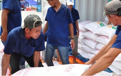 Hà Nội tặng TP.HCM và Bình Dương 6.000 tấn gạo