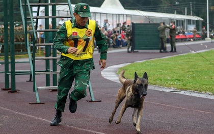 "Thần khuyển" AquaDog của đoàn Việt Nam quay trở lại ở Army Games 2021