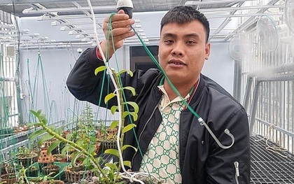 2 anh em "đại gia lan đột biến" ở Quảng Ninh mua bán trái phép hàng triệu tấn than, thu lợi hàng trăm tỷ