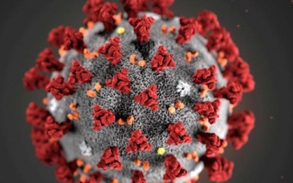 Nguy cơ phát tán virus từ người đã tiêm vaccine và hiểm họa mới từ biến thể Lambda