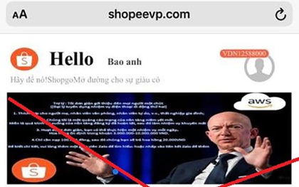 Mất tiền tỷ sau 5 phút vì ham lãi suất 20%