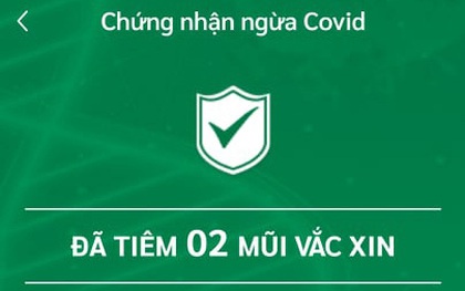 TP.HCM: Chậm cập nhật dữ liệu tiêm vaccine Covid-19 có ảnh hưởng đến lộ trình cấp Thẻ xanh?