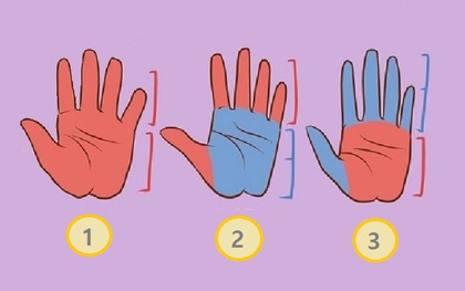 Quiz: Dáng bàn tay của bạn như thế nào? Điều này cũng có thể đọc vị rất nhiều điều về tính cách và cả nghề nghiệp thích hợp của mỗi người