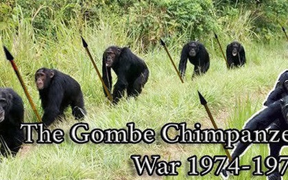 Chiến tranh tinh tinh: Vì tranh giành quyền lực mà những con tinh tinh này đã tổ chức một cuộc chiến đẫm máu kéo dài 4 năm