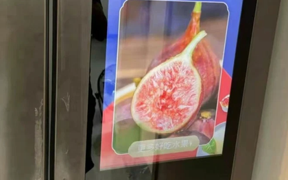 Hí hửng vì sắm được tủ lạnh thông minh, không ngờ thứ mua về lại biến thành "bảng quảng cáo có chức năng cất trữ thực phẩm"