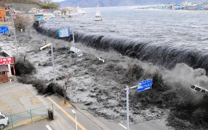 Cảnh báo sóng thần, người dân 8 tỉnh ven biển của Nhật Bản phải sơ tán