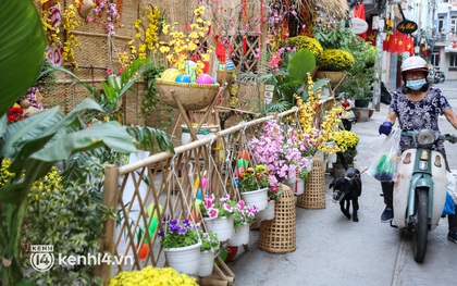 Mùi của Tết đã len lỏi vào từng con hẻm ở trung tâm TP.HCM, khi người dân góp tiền để làm những "đường hoa mini"