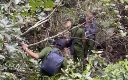 Đang tìm kiếm nữ du khách Đồng Nai bị mất tích tại núi Tà Cú - Bình Thuận